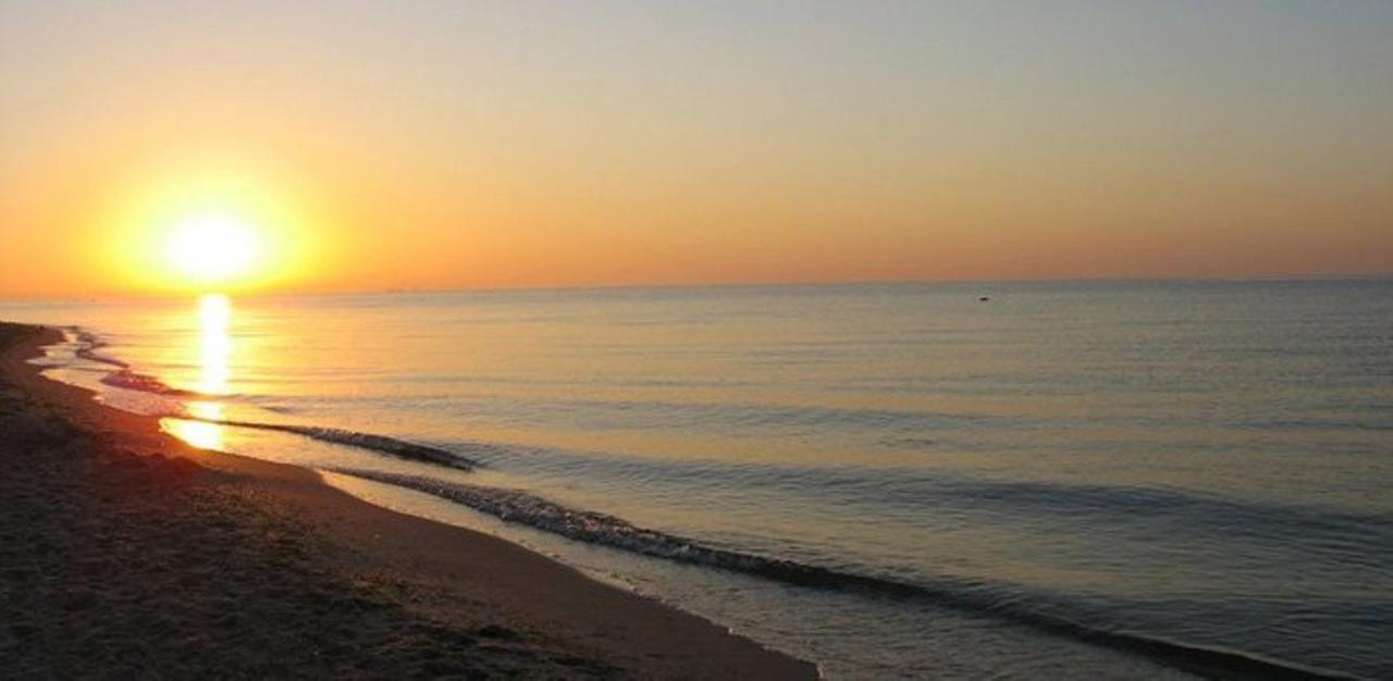 Kauri Bed and Breakfast Zatoka Εξωτερικό φωτογραφία