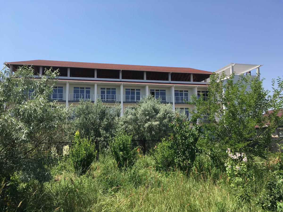 Kauri Bed and Breakfast Zatoka Εξωτερικό φωτογραφία
